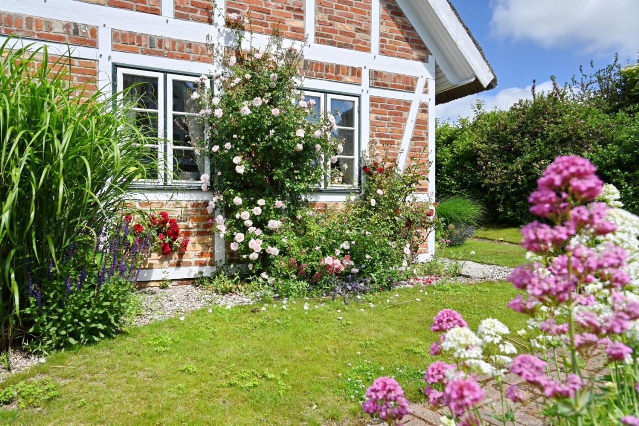 Landhaus Vilmnitz - Wohnung 7 Extérieur photo