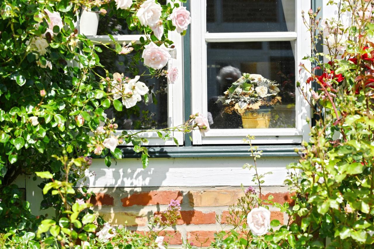 Landhaus Vilmnitz - Wohnung 7 Extérieur photo